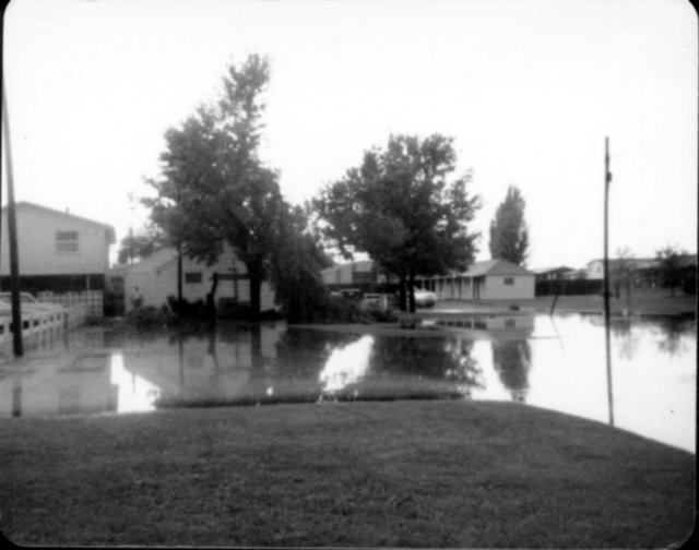 floodbehindknotty1979.jpg