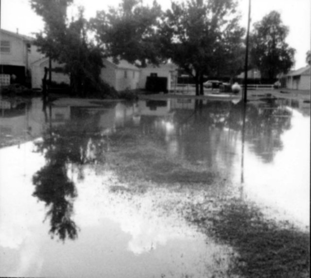 floodof79.jpg